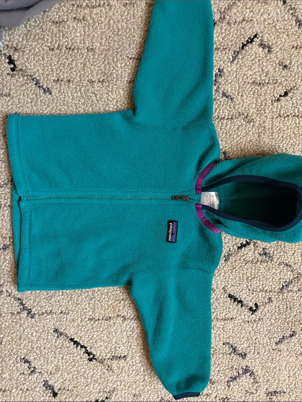 BUNDLE LISTING: 2 Patagonia Synchilla Hooded Fleeces 6-12M
